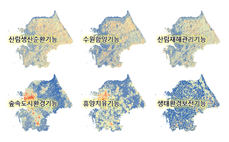 6대 산림 기능 평가