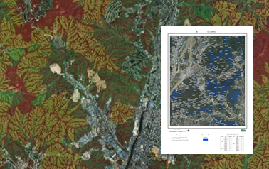 Customized Afforestation Map